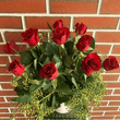 Red roses arranged in a ceramic container with green foliage