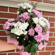 Chrysanthemum bouquet in pink and white.