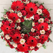 Red roses and gerberas funeral wreath