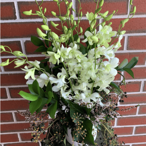 White orchids arrangement in a ceramic container